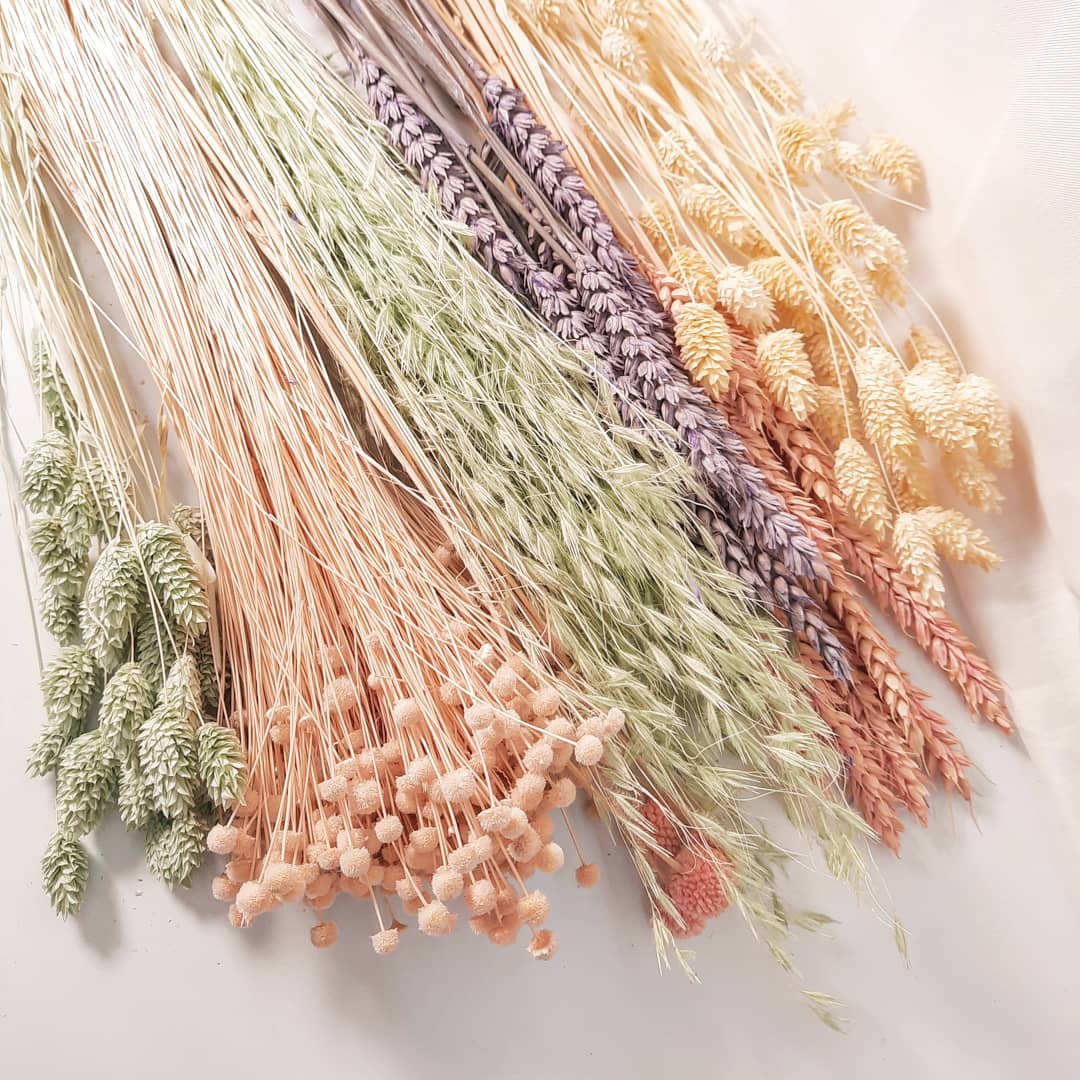 Trockenblumen online kaufen - Bei Misses Flower bestellen