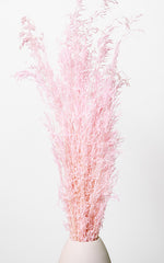Munnigras rosa Bund | Trockenblumen | ca. 50 cm