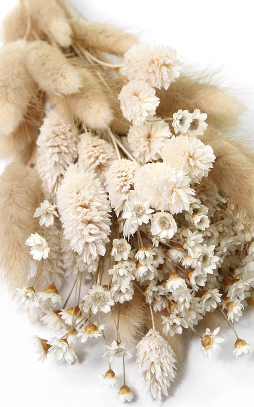 Trockenblumen Strauß Mini Boho kaufen – Misses Flower