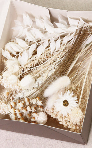 Trockenblumen weiß hell cremfarben online kaufen – Misses Flower