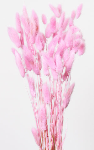 Trockenblumen rosa