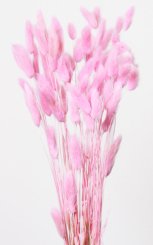 Trockenblumen rosa kaufen – Misses Flower