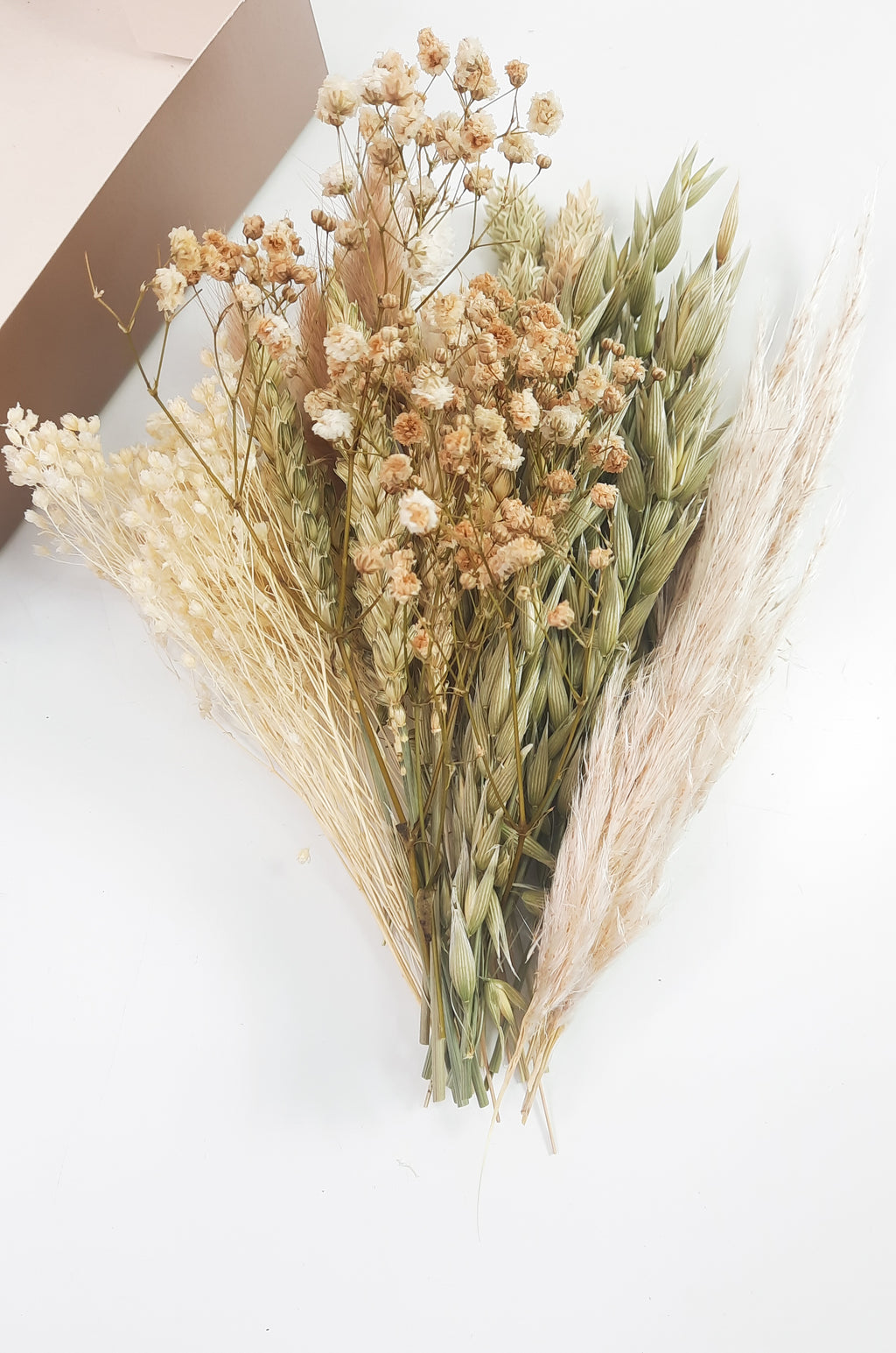 Trockenblumen + Trockenblumenstrauß online kaufen | Misses Flower