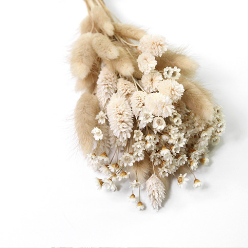 Trockenblumen + Trockenblumenstrauß online kaufen | Misses Flower