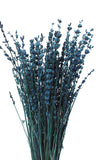 Lavendel dunkelblau Bund | ca. 40 cm lang