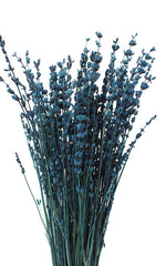 Lavendel dunkelblau Bund | ca. 40 cm lang