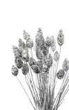 Phalaris silber | Trockenblumen