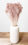 Broom Bloom blush Bund | ca. 30 cm