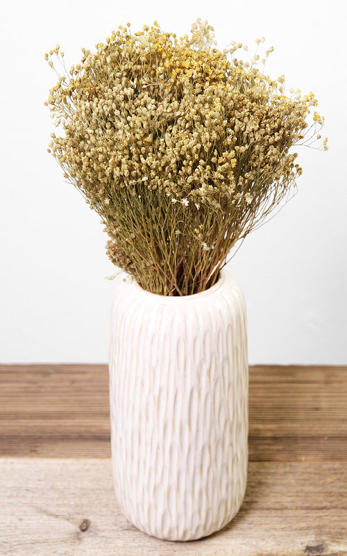Broom Bloom natur Bund | Trockenblumen | ca. 40 cm