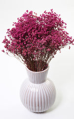 Broom Bloom berry Trockenblumen