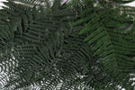 Farnzweig dunkelgrün 2er Set