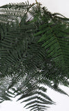 Farnzweig dunkelgrün 2er Set
