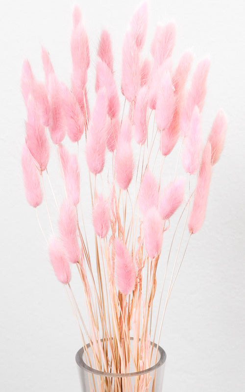 Trockenblumen rosa kaufen – Misses Flower