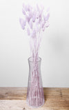 Lagurus zartflieder Bund | Trockenblumen | ca. 50 cm