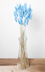 Lagurus blau Bund | Trockenblumen | ca. 50 cm