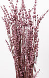 Lavendel dunkelrosa Bund | Trockenblumen | ca. 40-50 cm