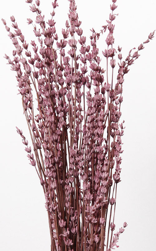 Lavendel dunkelrosa Bund | Trockenblumen | ca. 40-50 cm