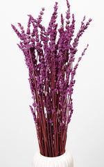 Lavendel violett Bund | ca. 40-50 cm lang