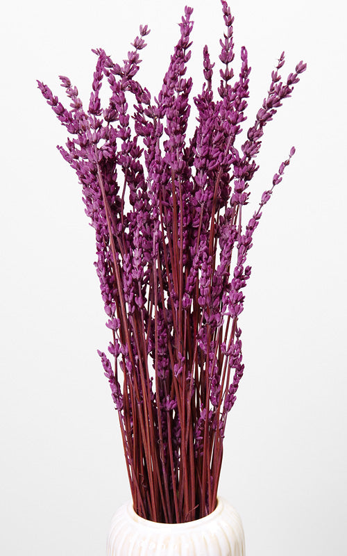 Lavendel violett Bund | ca. 40-50 cm lang