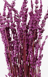 Lavendel violett Bund | ca. 40-50 cm lang