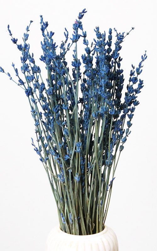 Lavendel Trockenblumen