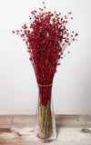 Linum rot Bund | ca. 50 cm lang