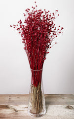Linum rot Bund | ca. 50 cm lang