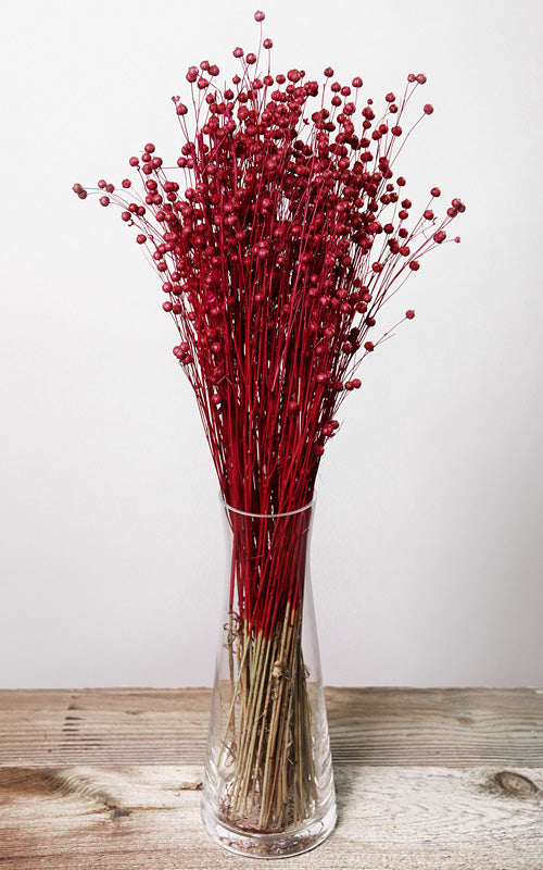 Linum rot Bund | ca. 50 cm lang