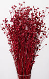 Linum rot Bund | ca. 50 cm lang