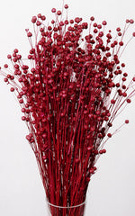 Linum rot Bund | ca. 50 cm lang