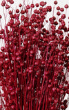 Linum rot Bund | ca. 50 cm lang