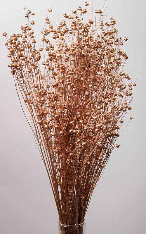 Lino, Flachs, Trockenblumen