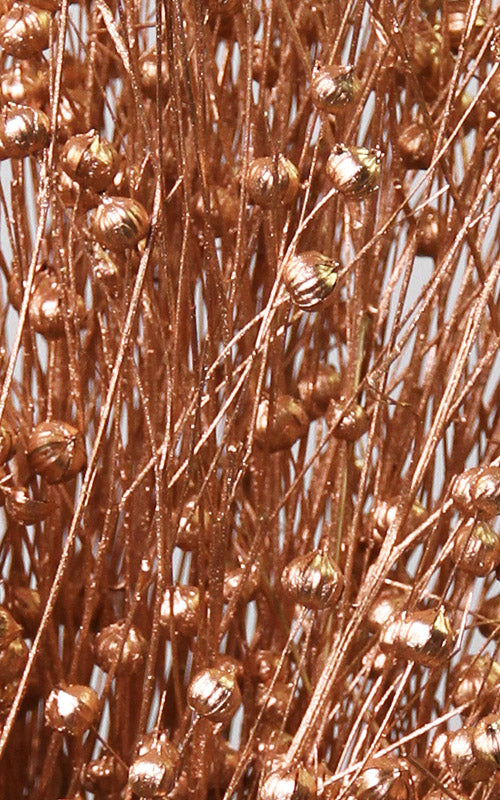 Lino, Flachs, Trockenblumen