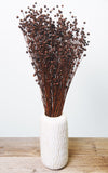 Linum chocolate Bund