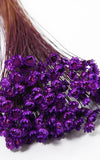 Glixia lila kleiner Bund | Trockenblumen
