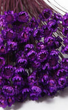 Glixia lila kleiner Bund | Trockenblumen