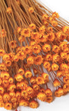 Glixia orange kleiner Bund | Trockenblumen