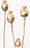 Mohnkapsel gold 1 Stiel | ca. 35 cm