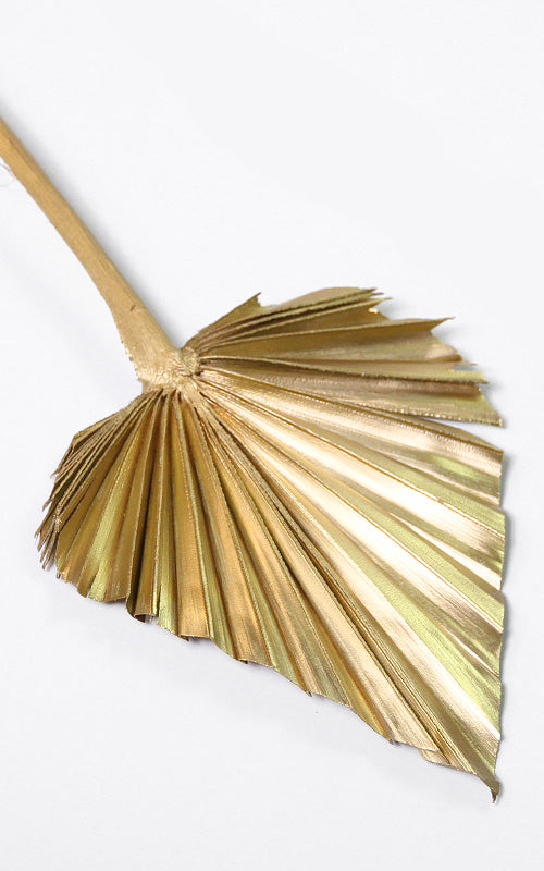 Palmspeer gold 1 Stiel | 30 cm