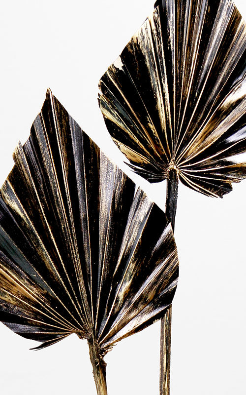 Palmspeer schwarz-gold | 1 Stiel