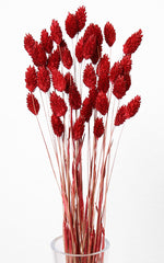 Trockenblumen rot Phalaris Kanariengras