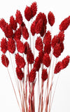 Trockenblumen rot Phalaris Kanariengras