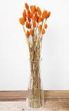 Phalaris orange Bund | Trockenblumen