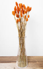 Phalaris orange Bund | Trockenblumen