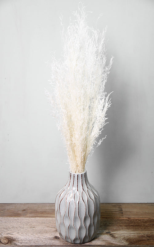 Munnigras creme-weiß Bund | Trockenblumen | ca. 50 cm