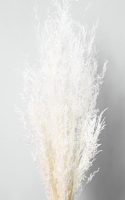 Munnigras Trockenblumen