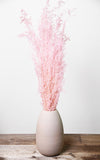 Munnigras rosa Bund | Trockenblumen | ca. 50 cm