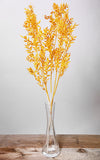 Ruscus gelb | Trockenblumen | ca. 50 cm