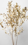 Ruscus gold 3er-Set | 2. Wahl