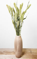 Setaria natur Trockenblumen | ca. 50 cm